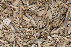 biomass boilers Bodiggo